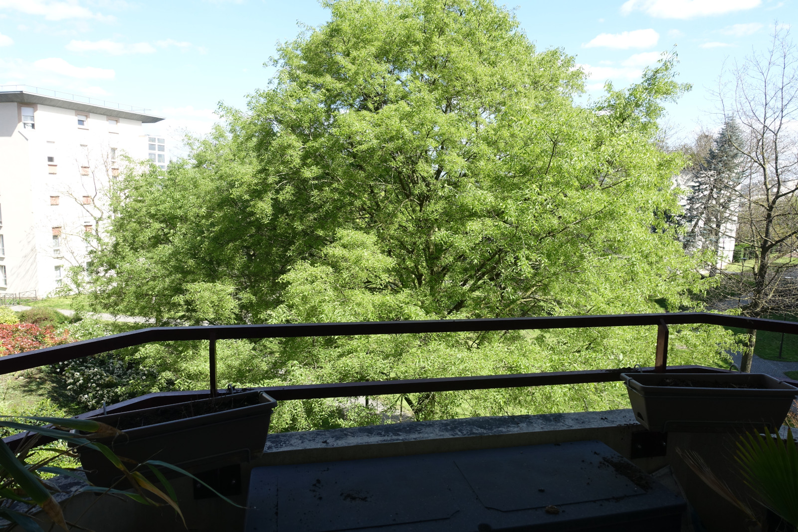 Vue du balcon